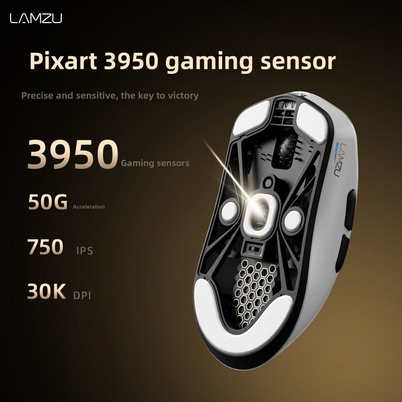 Беспроводная игровая мышь LAMZ – обзор и цена Esports Gaming Tournaments